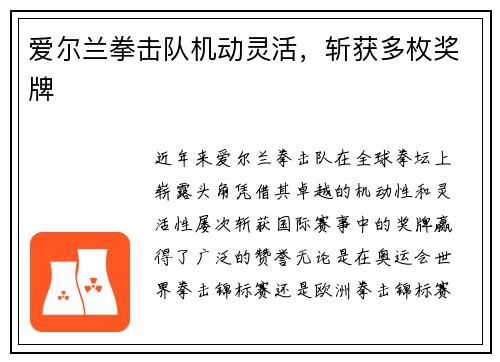 爱尔兰拳击队机动灵活，斩获多枚奖牌