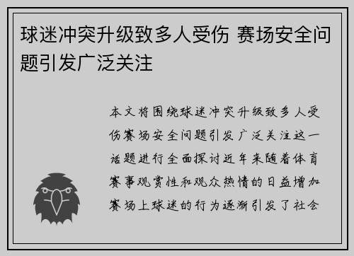 球迷冲突升级致多人受伤 赛场安全问题引发广泛关注